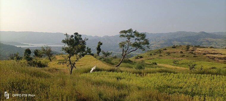 undefined, velhe  1 Acre Plot In Velhe Pune 9944689