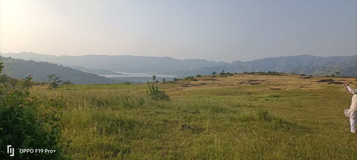 Plot For Sale in Velhe