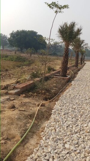 Plot Area in  Plot at Sultanpur Road – for Sale