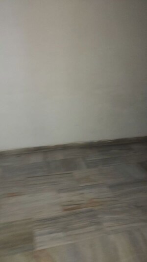 2.5 BHK Builder Floor For Rent in Mayur Vihar