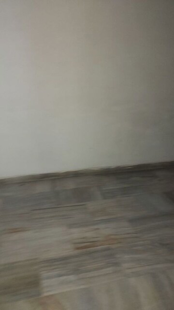 2.5 BHK Builder Floor For Rent in Mayur Vihar