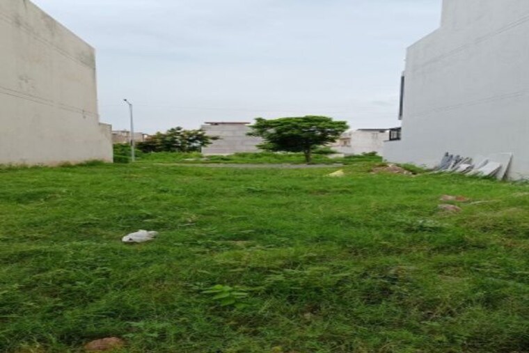 Garden, mullanpur  1265 Sq.Ft. Plot In Mullanpur Mohali 9945982