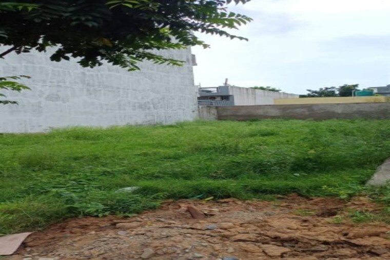 undefined, mullanpur  1283 Sq.Ft. Plot In Mullanpur Mohali 9945999