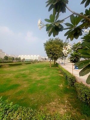  Plot – Garden View at ROF Normanton Park, Sohna Sector 36 - for Sale