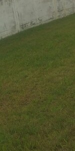 210 Sq.Yd. Plot in Model Gram