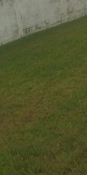  Plot For Sale in Model Gram