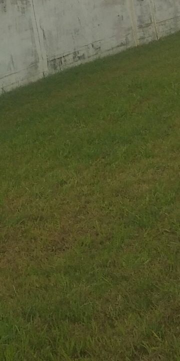  Plot For Sale in Model Gram