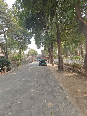  Plot – Exterior View View at Delta Ii Greater Noida - for Sale