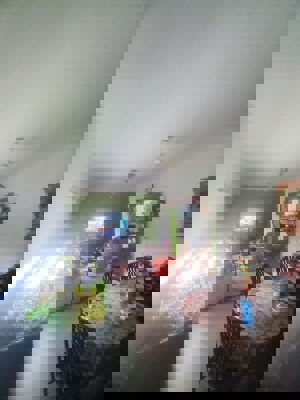 3 BHK 1455 Sq.Ft. Apartment in Sobha Ivory Pune