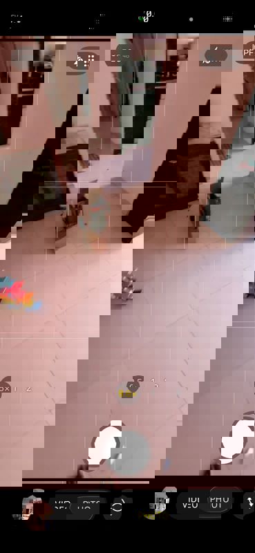 2 BHK 750 Sq.Ft. Apartment in Satguru Solitaire