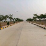 215 Sq.Yd. Plot in Fortune 18