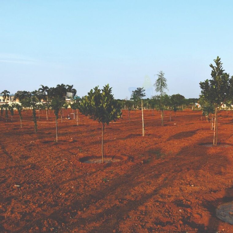 undefined, fortune-18  215 Sq.Yd. Plot In Amangal Hyderabad 9946316