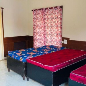  Pg For Rent in Sector 57