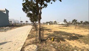 Plot Area in  Plot at Wave City, Wave City – for Sale