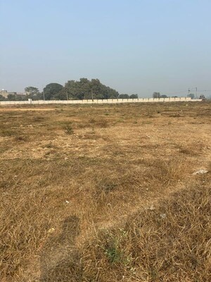 Plot Area in  Plot at Sector 3 Wave City – for Sale