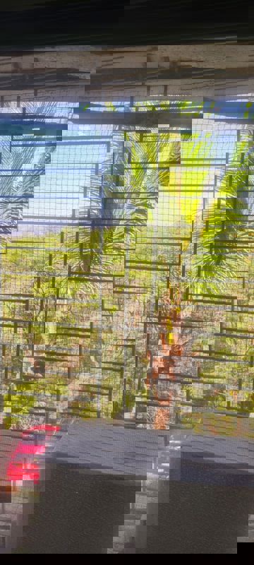 2 BHK 790 Sq.Ft. Apartment in Kumar Harshvardhan CHS