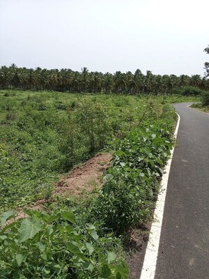  Plot For Sale in Yelagiri
