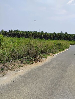  Plot – Exterior View View at Yelagiri - for Sale