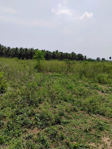  Plot – Exterior View View at Yelagiri - for Sale