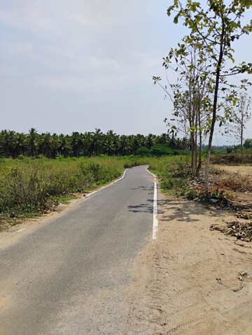  Plot – Exterior View View at Yelagiri - for Sale