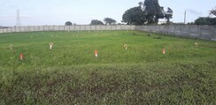 Plot For Sale in Peth Road