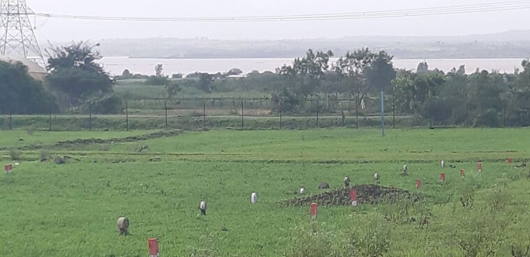 undefined, peth road  308 Sq.Yd. Plot In Peth Road Nashik 9946681