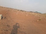 75 Sq.Yd. Plot in Pathardi