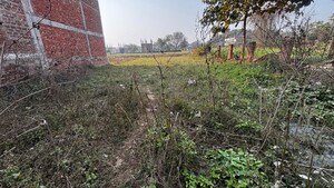  Industrial Plot For Rent in Chhataripur