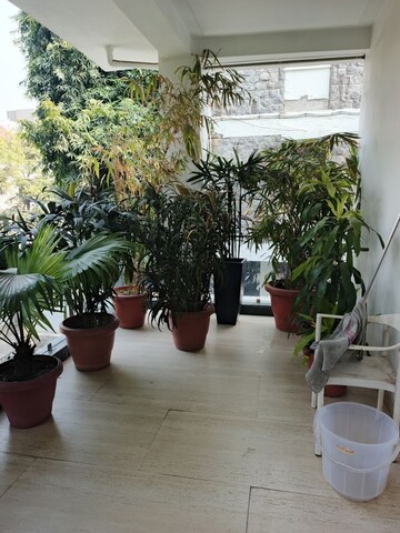 Terrace in 4 BHK Builder Floor at Friends Colony – for Rent