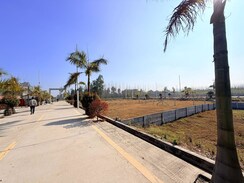 Plot For Sale in Mohabbewala