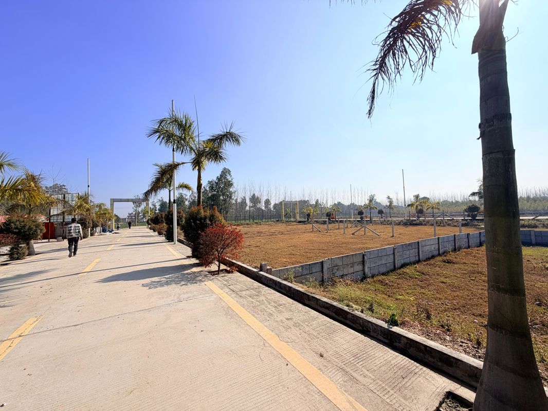 Plot For Sale in Mohabbewala