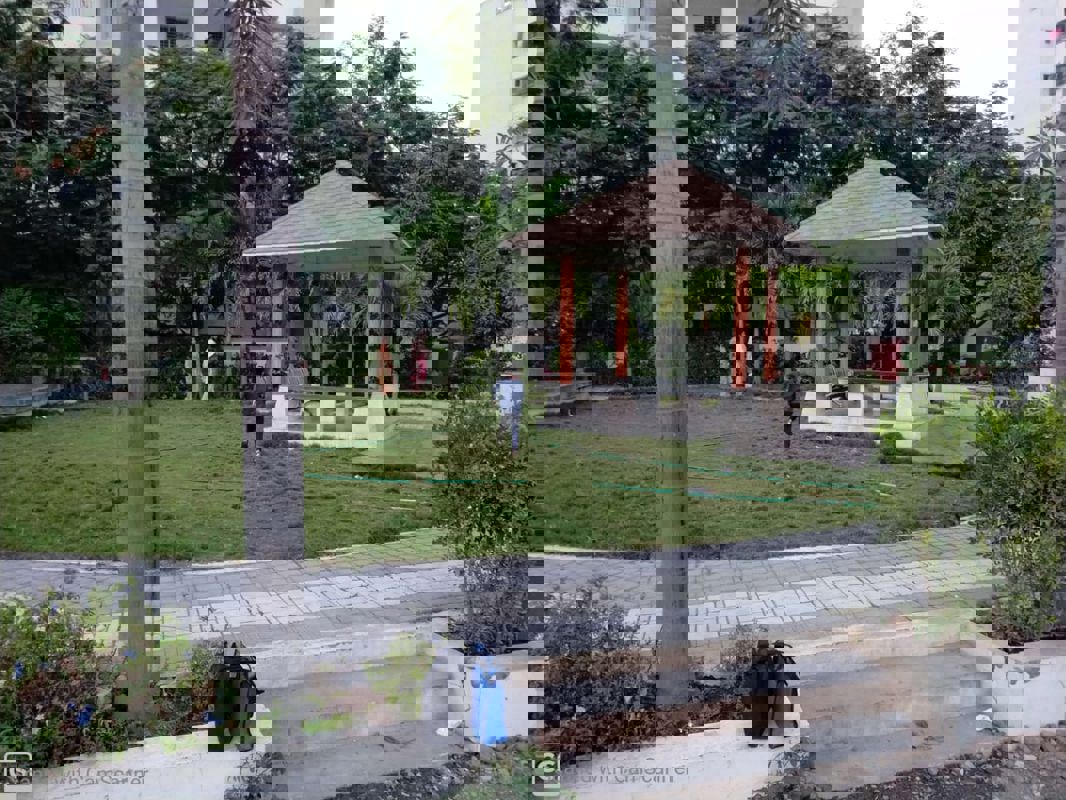 2 BHK Apartment For Rent in V Satav Mayuri Sunrise