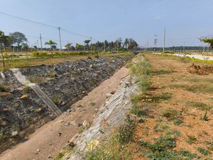 Plot Area in  Plot at Channarayapatna – for Sale