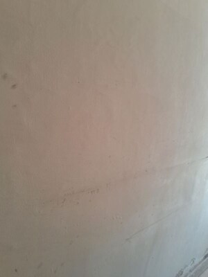  Showroom For Rent in Sector 21