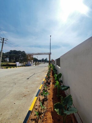  Plot – Exterior View View at Sondekoppa - for Sale