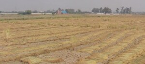  Plot For Sale in Jewar