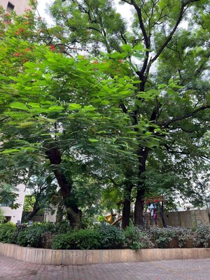 2 BHK Apartment – Garden View at Godrej Sherwood, Shivajinagar - for Sale