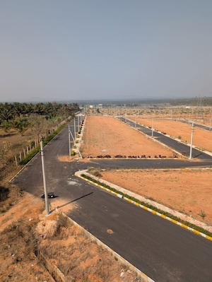 Plot Area in  Plot at Vijay Nagar – for Sale