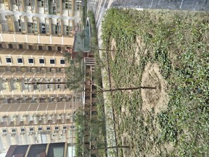 4 BHK Apartment – Exterior View View at Migsun Twiinz, Eta Ii Greater Noida - for Sale