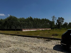  Plot For Sale in Selakui