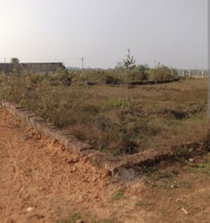 Plot Area in  Plot at Sector 75 – for Sale