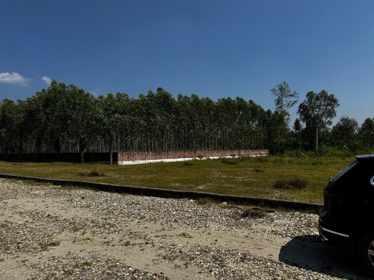 undefined, selakui  120 Sq.Yd. Plot In Selakui Dehradun 9947896