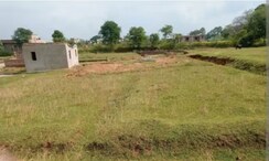 Plot For Sale in Sector 77