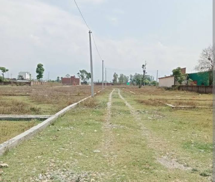 Plot For Sale in Sector 77
