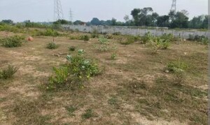  Plot For Sale in Sector 77