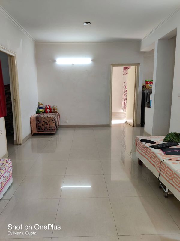 2 BHK Builder Floor For Rent in Migsun Alpha Central