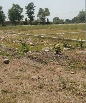 Plot Area in  Plot at Sector 84 – for Sale