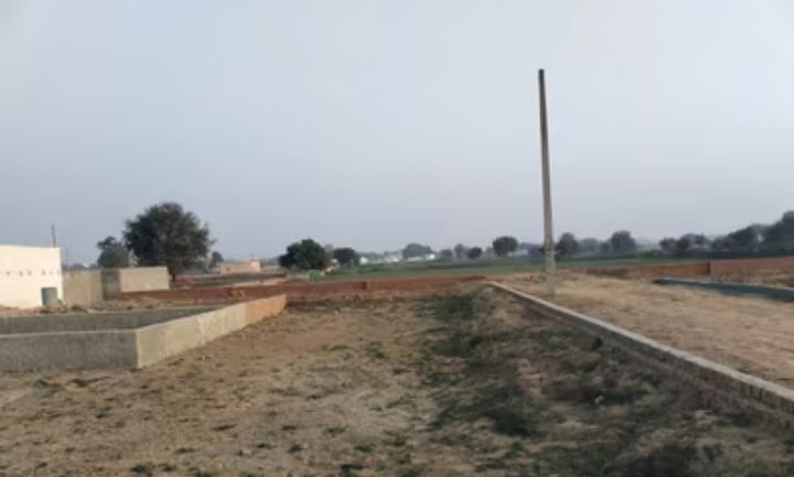 Plot For Sale in Sector 77