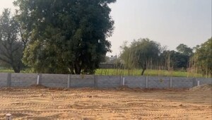 Plot Area in  Plot at Theekariya – for Sale