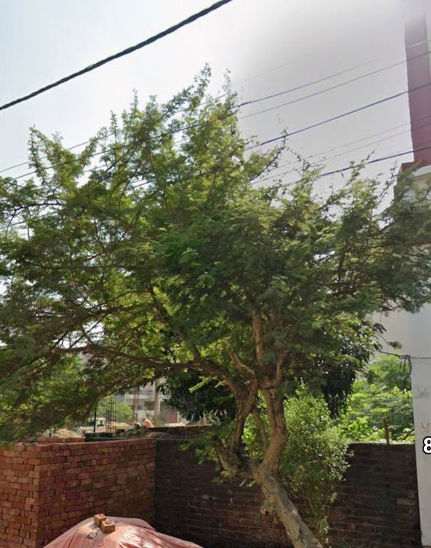 Plot For Sale in Vrindavan Yojna